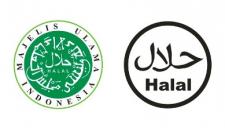 MUI: Indonesia Rujukan Pusat Halal Dunia
